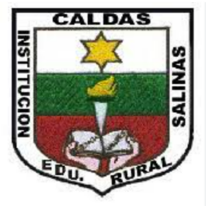 INSTITUCIÓN EDUCATIVA RURAL SALINAS